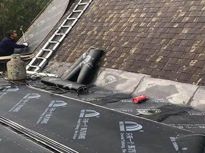 1586502639629210.jpg 64.JPG