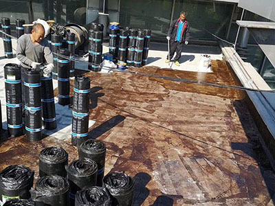 1586502666342403.jpg 69.JPG