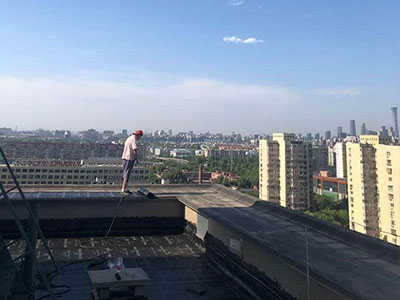 1587535672572451.jpg 71.JPG